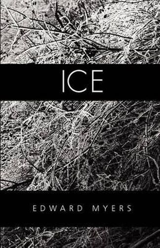 Cover image for Ice