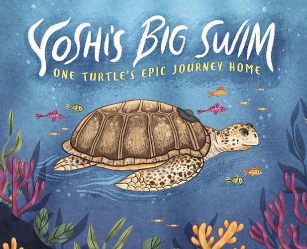 Cover image for Yoshi's Big Swim