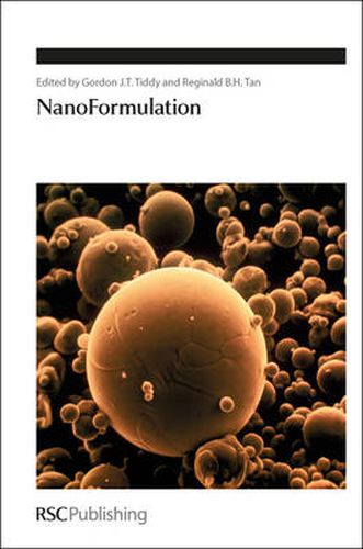 Cover image for NanoFormulation