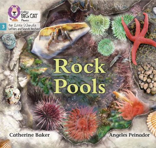 Rock Pools: Phase 3