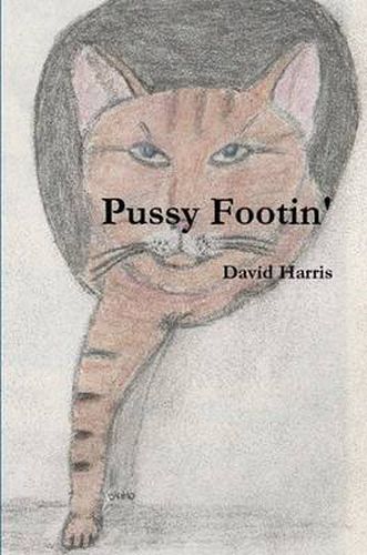 Cover image for Pussy Footin