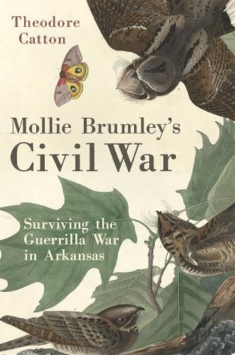 Cover image for Mollie Brumley's Civil War