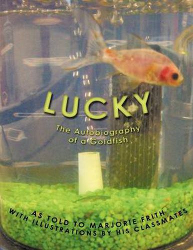 Cover image for Lucky