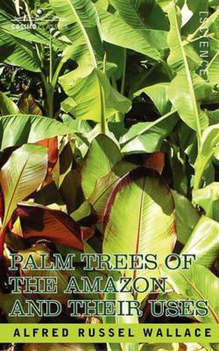 Cover image for Palm Trees of the Amazon and Their Uses