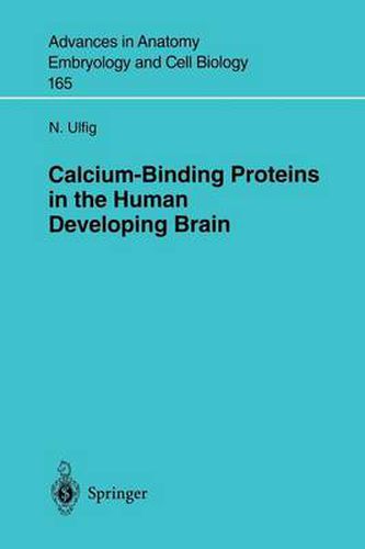 Cover image for Calcium-Binding Proteins in the Human Developing Brain