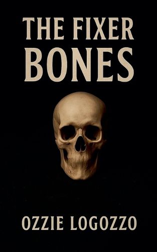 Cover image for The Fixer