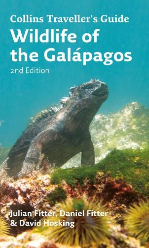 Cover image for Wildlife of the Galapagos