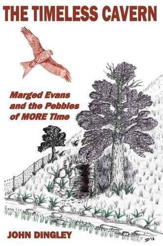 Cover image for The Timeless Cavern: Marged Evans and the Pebbles of MORE Time