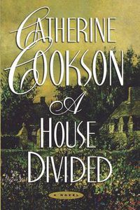 Cover image for A House Divided: A Novel