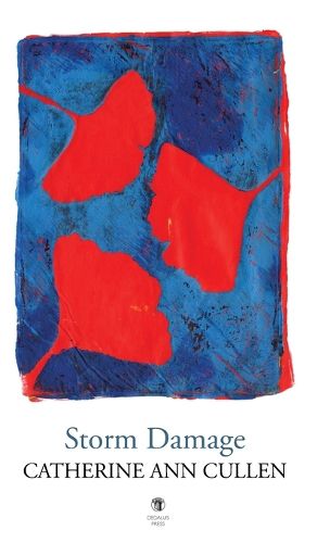 Cover image for Storm Damage
