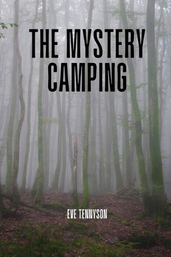 Cover image for The mystery camping