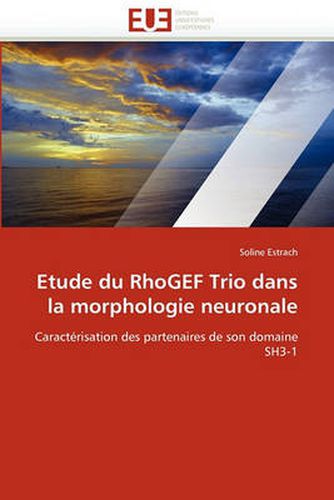 Cover image for Etude Du Rhogef Trio Dans La Morphologie Neuronale