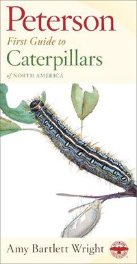 Cover image for First Guide to Caterpillars