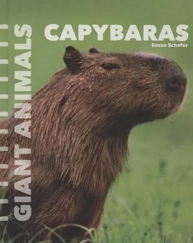 Cover image for Capybaras