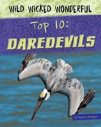 Cover image for Daredevils