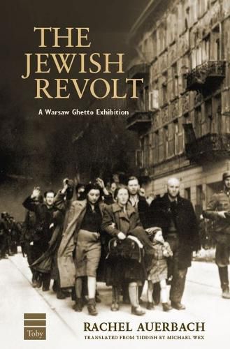 Cover image for The Jewish Revolt