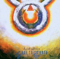 Cover image for Gone To Earth