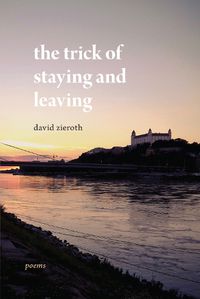 Cover image for the trick of staying and leaving