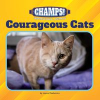 Cover image for Courageous Cats