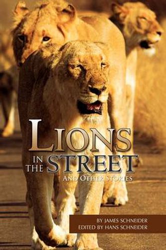 Cover image for Lions in the Street