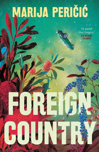 Cover image for Foreign Country