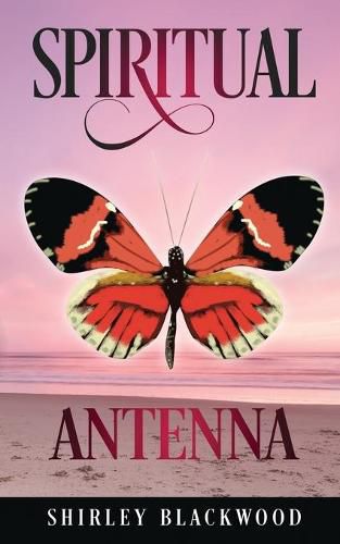 Cover image for Spiritual Antenna