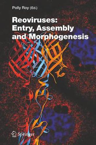 Cover image for Reoviruses: Entry, Assembly and Morphogenesis