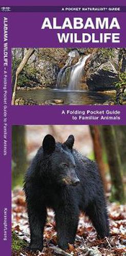 Cover image for Alabama Wildlife: A Folding Pocket Guide to Familiar Animals