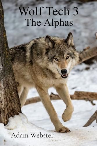 Cover image for Wolf Tech 3