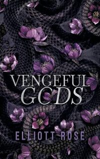 Cover image for Vengeful Gods