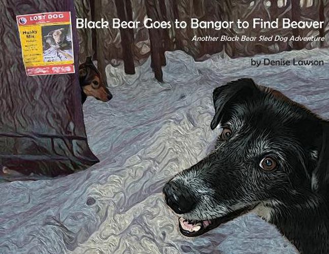 Cover image for Black Bear Goes to Bangor to Find Beaver: Another Black Bear Sled Dog Adventure