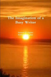 Cover image for The Imagination of a Busy Writer