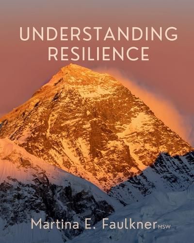 Cover image for Understanding Resilience
