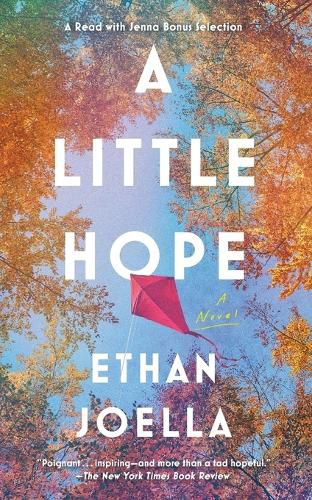 Cover image for A Little Hope