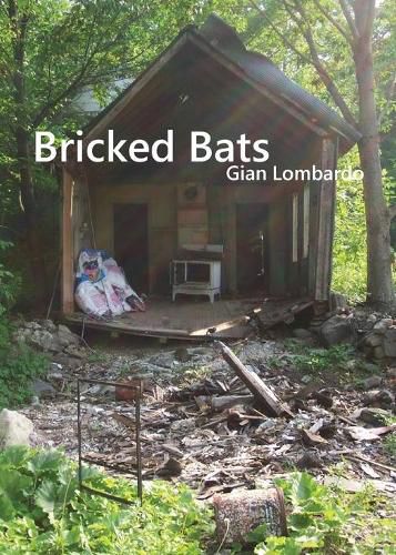 Cover image for Bricked Bats