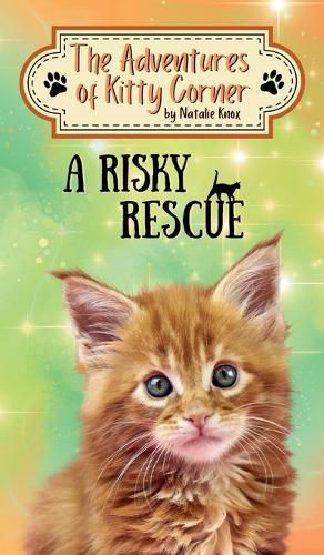 Cover image for A Risky Rescue