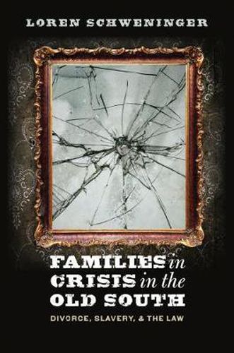 Cover image for Families in Crisis in the Old South: Divorce, Slavery, and the Law