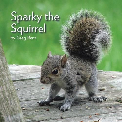 Cover image for Sparky the Squirrel