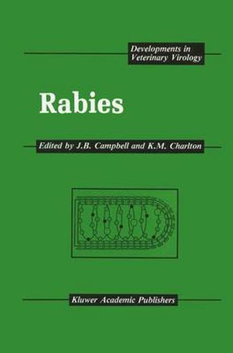 Cover image for Rabies