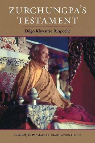 Cover image for Zurchungpa's Testament