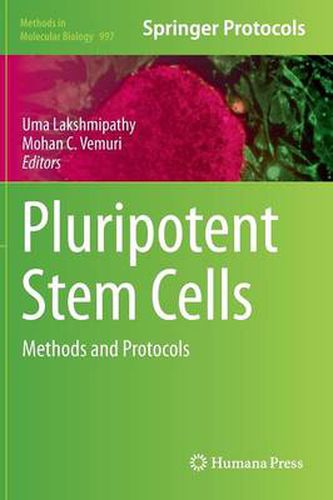 Cover image for Pluripotent Stem Cells: Methods and Protocols