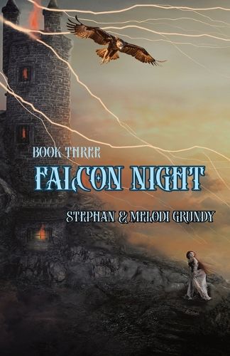 Cover image for Falcon Night