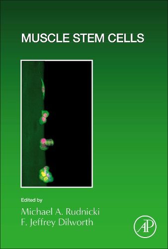 Cover image for Muscle Stem Cells: Volume 158