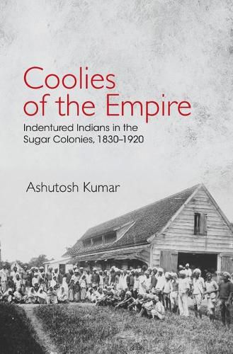 Cover image for Coolies of the Empire: Indentured Indians in the Sugar Colonies, 1830-1920