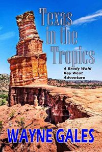 Cover image for Texas in the Tropics