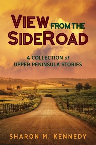 Cover image for View from the SideRoad