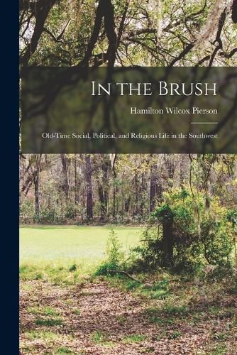 Cover image for In the Brush