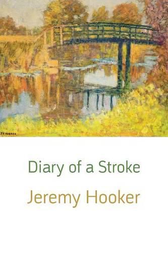 Cover image for Diary of a Stroke