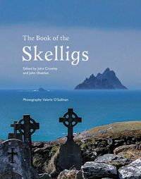 Cover image for The Book of the Skelligs