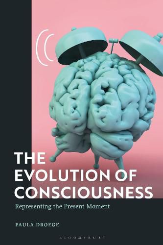 Cover image for The Evolution of Consciousness: Representing the Present Moment